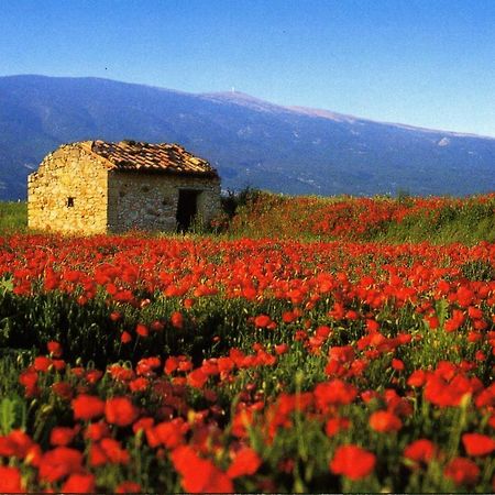 Pierrevert Maison De Village De 98 M2 Typiquement Provencale מראה חיצוני תמונה