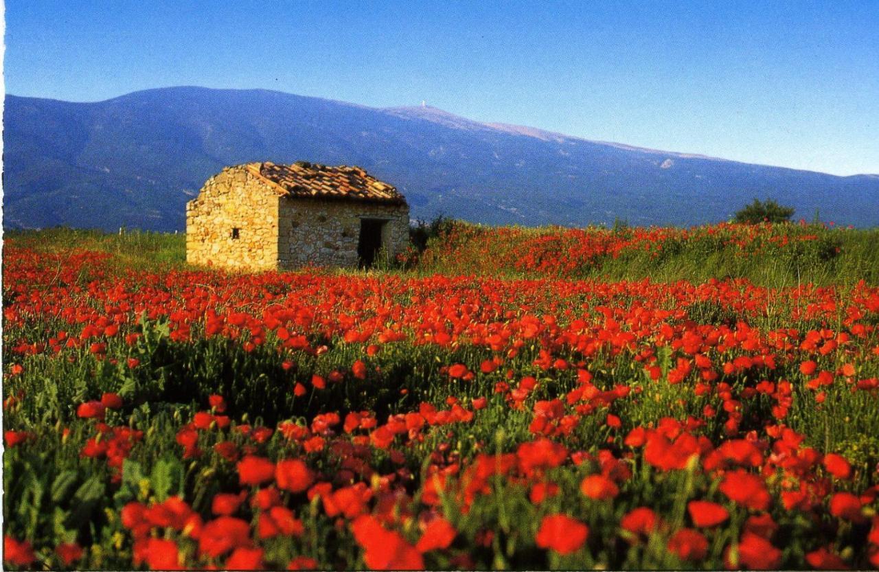 Pierrevert Maison De Village De 98 M2 Typiquement Provencale מראה חיצוני תמונה